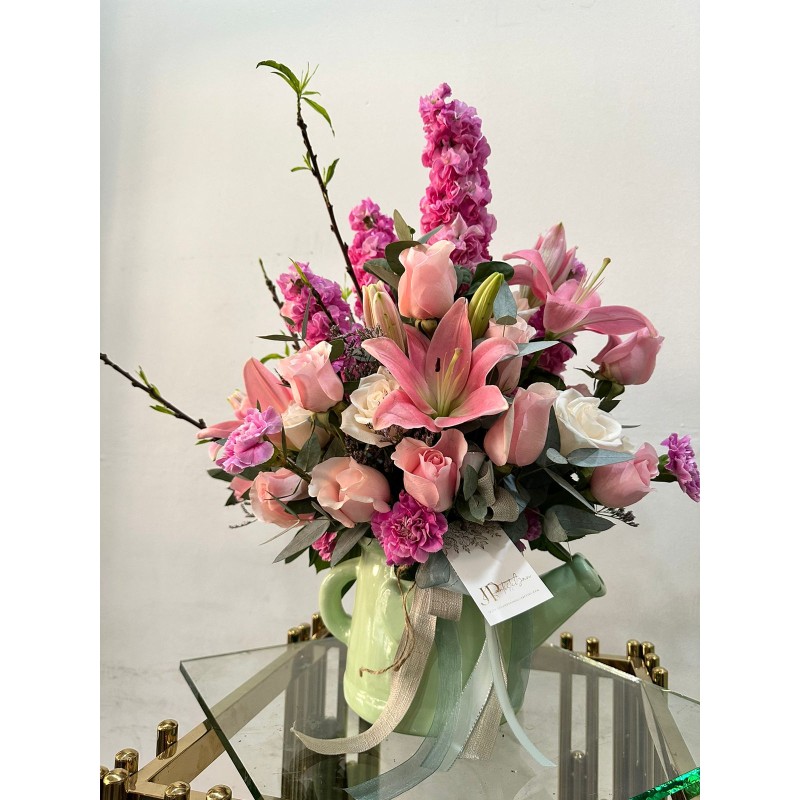 Regaderita Jp Inspiration